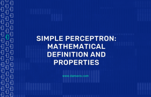 Simple perceptron: mathematical definition and properties