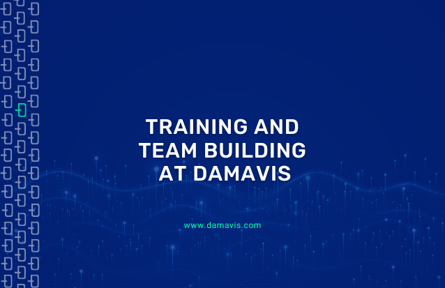 Training and team building at Damavis