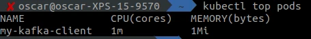 Screenshot with an example of running the command to view the metrics of a Minikube pod