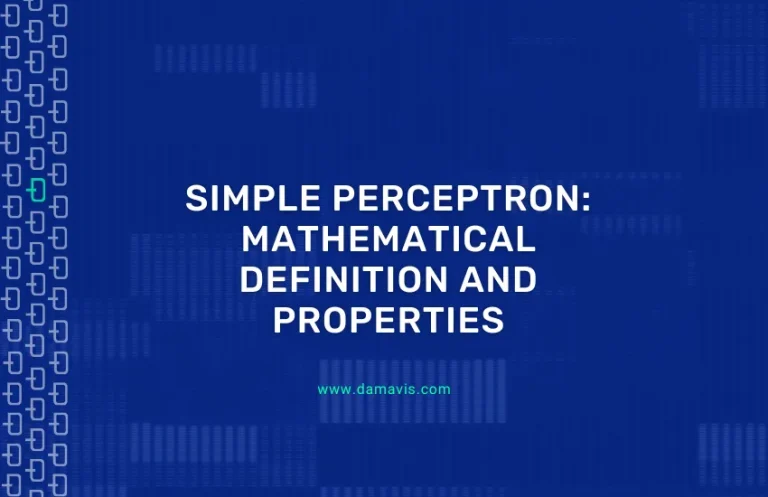Simple perceptron: Mathematical definition and properties